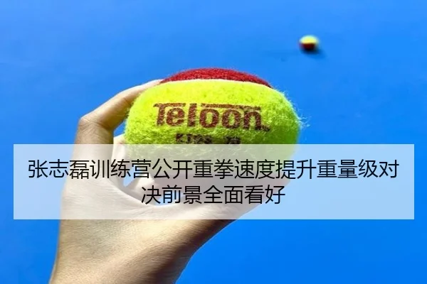 张志磊训练营公开重拳速度提升重量级对决前景全面看好