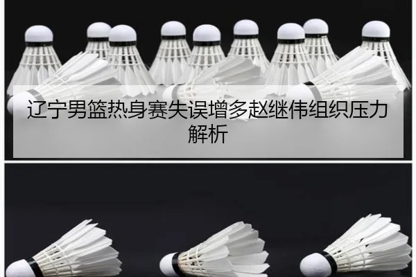 辽宁男篮热身赛失误增多赵继伟组织压力解析